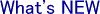 更新情報